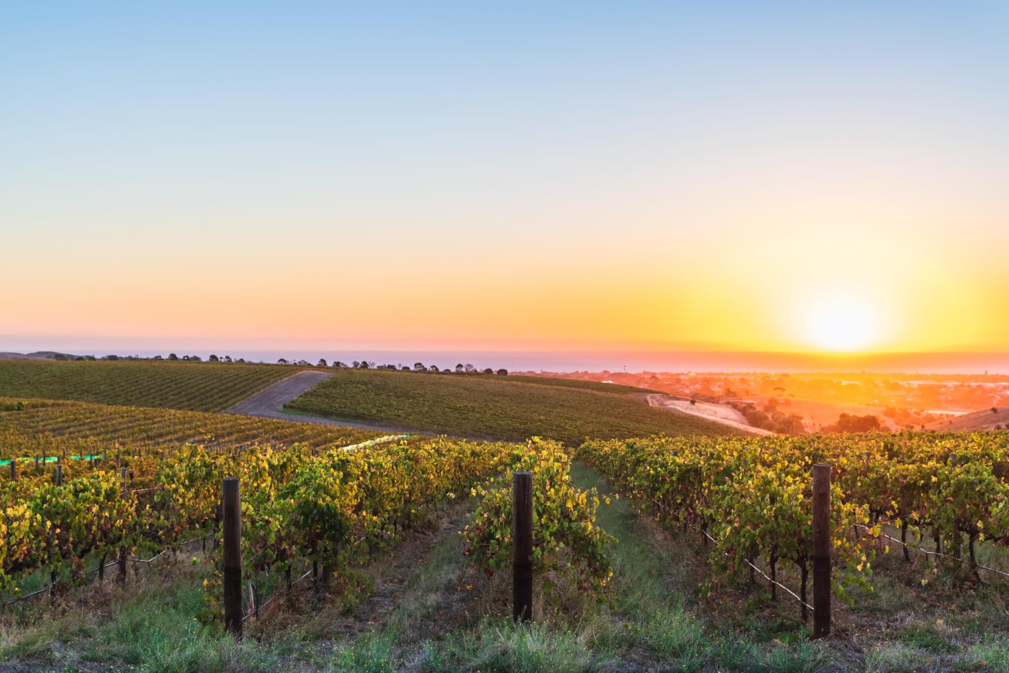 Mclaren vale